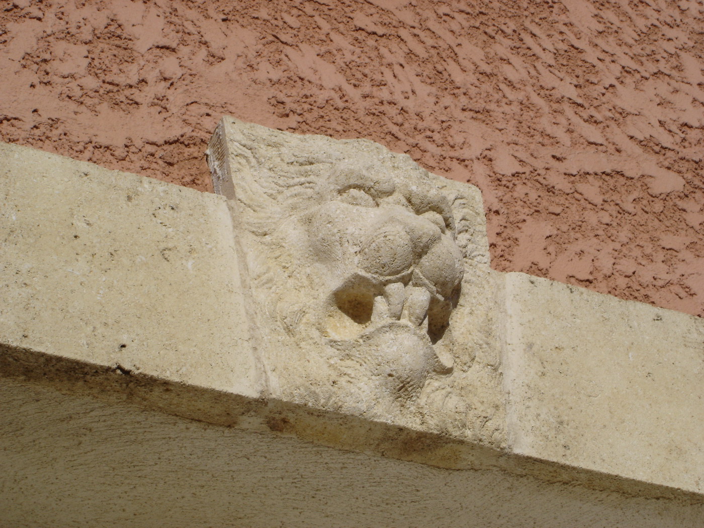 tete de lion